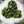MOLDAVITE MIDI
